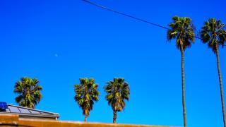 Cozy Private Guest House - Los Angeles - 4