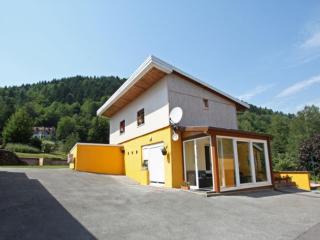 Gîte familial aux Vosges avec jeux pour enfants, à proximité de la nature et activités sportives - FR-1-589-111 - Le Ménil - 0