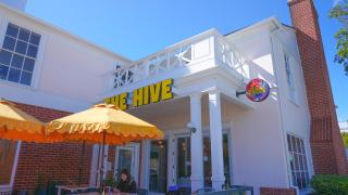 Cozy private Guest House - 9