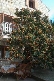 Apartments by the sea Cavtat, Dubrovnik - 24545 - Cavtat - 4