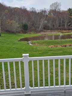 Charming Twin Ponds Estate On 27 Acres - Woodbourne - 4