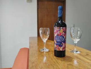 Duplex Vino Wine a 100 m de la plaza principal - Mendoza - 3