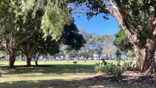 Drakes Hideaway - Golden Beach - 1