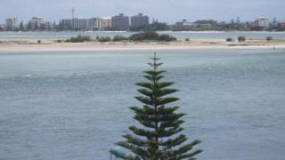 Allamanda Place Unit 5 - Caloundra - 8