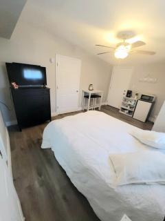 Charming 1 bed suite with AC and WiFi in Lakeland - 2