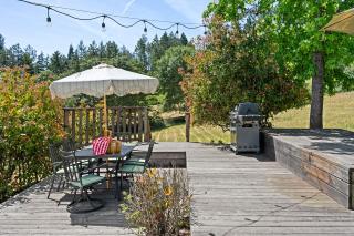 Sebastopol Farmhouse on 3 acres, fiber, kid friendly - Sebastopol - 1