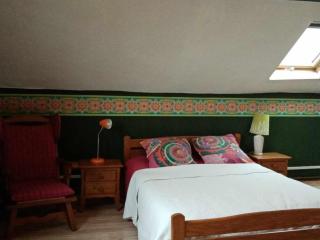 Maison cosy avec jardin, cheminée, Wi-Fi et animaux admis à Willies - FR-1-510-101 - Willies - 6