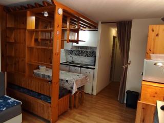 Studio Montagne Centre Station avec Parking privé - FR-1-814-128 - Besse-et-Saint-Anastaise - 9