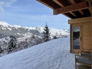Chalet neuf à La Plagne, accès direct aux pistes, sauna, parking, 5 chambres - FR-1-755-39 - Aime La Plagne - 3