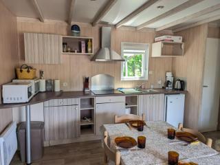 Mobil-home moderne dans la nature d'Auvergne - FR-1-814-134 - Égliseneuve-dʼEntraigues - 5