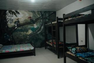 Bangkong Kahoy Valley Campsite and Eco Tours - Dolores - 6