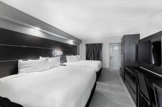 Baymont by Wyndham San Antonio Near Lackland AFB - San Antonio - 8