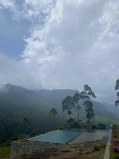 The Eight at Willows - 5