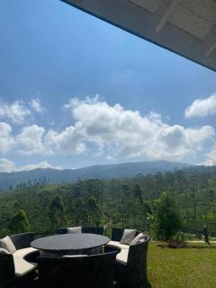 The Eight at Willows - 3