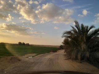Giza Oasis Ein Koudra - - 7