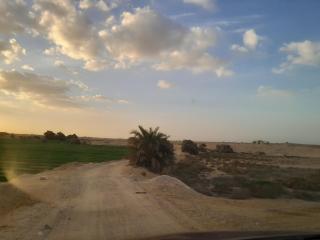 Giza Oasis Ein Koudra - - 8