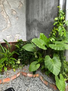 Nhà Lười - Hue - 6