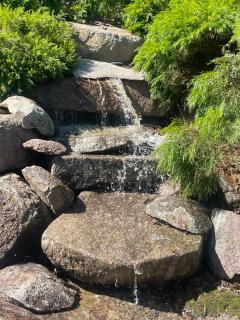Mountain Manor - - 5