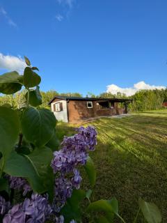 Property with evening sun in a scenic location - Skövde - 6