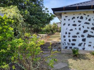 Tov House Jeju - Handong-ni - 1