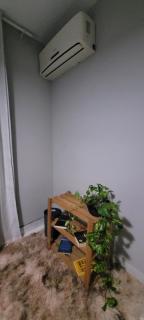 Apartamento aconchegante - Campos dos Goytacazes - 9