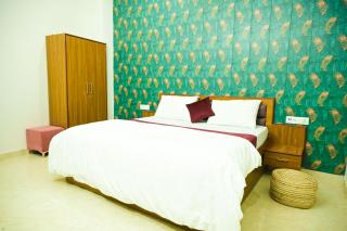 Vizata Hotel And Resort - Jaipur - 9
