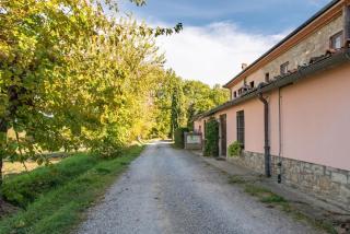 Apartment In A Farmhouse Between Tuscan Hills - Bucine - 5