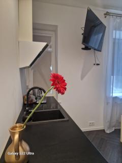 Kaunas Studios - RentA 18 - Kaunas - 9