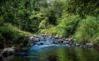 Riverstone Acres - Waihi - 8