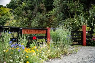 Riverstone Acres - Waihi - 2