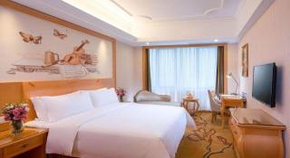 Vienna Hotel Shandong Jinan High-Tech Wanda Exhibition Center - Jinan - 1