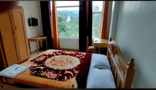 Winter Green Resorts, Munnar - Munnar - 5