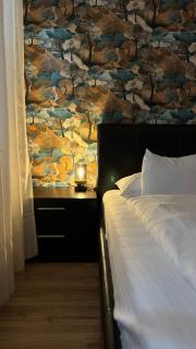 Xili's Relax and Chill Apartment, Netflix, Peaceful Location in Brasov - Braşov - 4