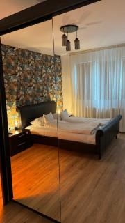 Xili's Relax and Chill Apartment, Netflix, Peaceful Location in Brasov - Braşov - 2