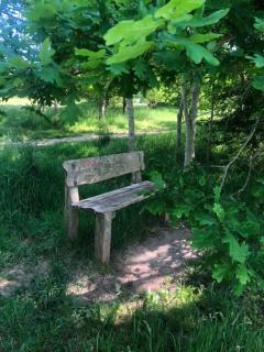 Tillingdown Meadow - Warlingham - 6