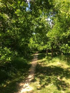 Tillingdown Meadow - Warlingham - 4