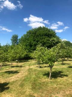 Tillingdown Meadow - Warlingham - 3