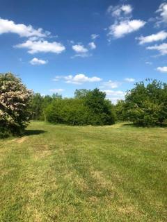Tillingdown Meadow - Warlingham - 2