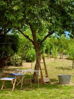 Petite ferme Creuse - Nouzerines - 6