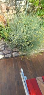 Apartman Legac - Starigrad - 7