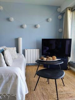 Le PARADIS BLEU - Cabourg - 5