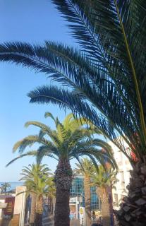 La parenthèse douce - 9