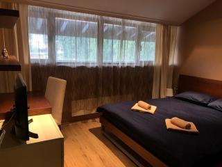 Panorama Apartment - Pamporovo - 9