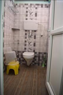 Paradise Mystic Tones - 2