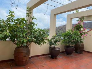 Jackfruit Homestay - Ha Long - 3
