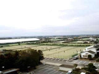 Sunshine Shirako New - Shirako - 2