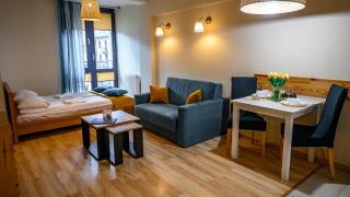 Apartamenty Sun & Snow Centrum Krynica Zdrój - Krynica-Zdrój - 7