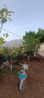 casa di Beatrice - Georgioupolis - 5