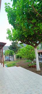 casa di Beatrice - Georgioupolis - 6