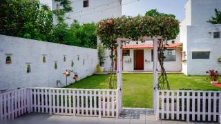 Pink Bramda - Lucknow - 2